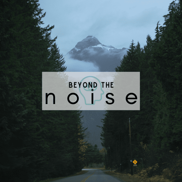 Beyond The Noise Cover
