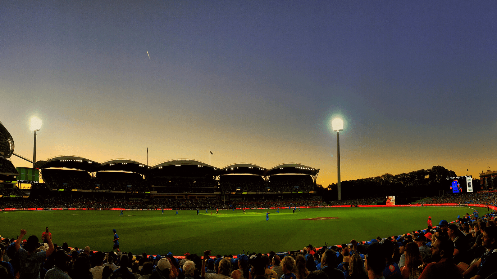 Safe To Fail - Evening at the Adelaide Oval, January 2019