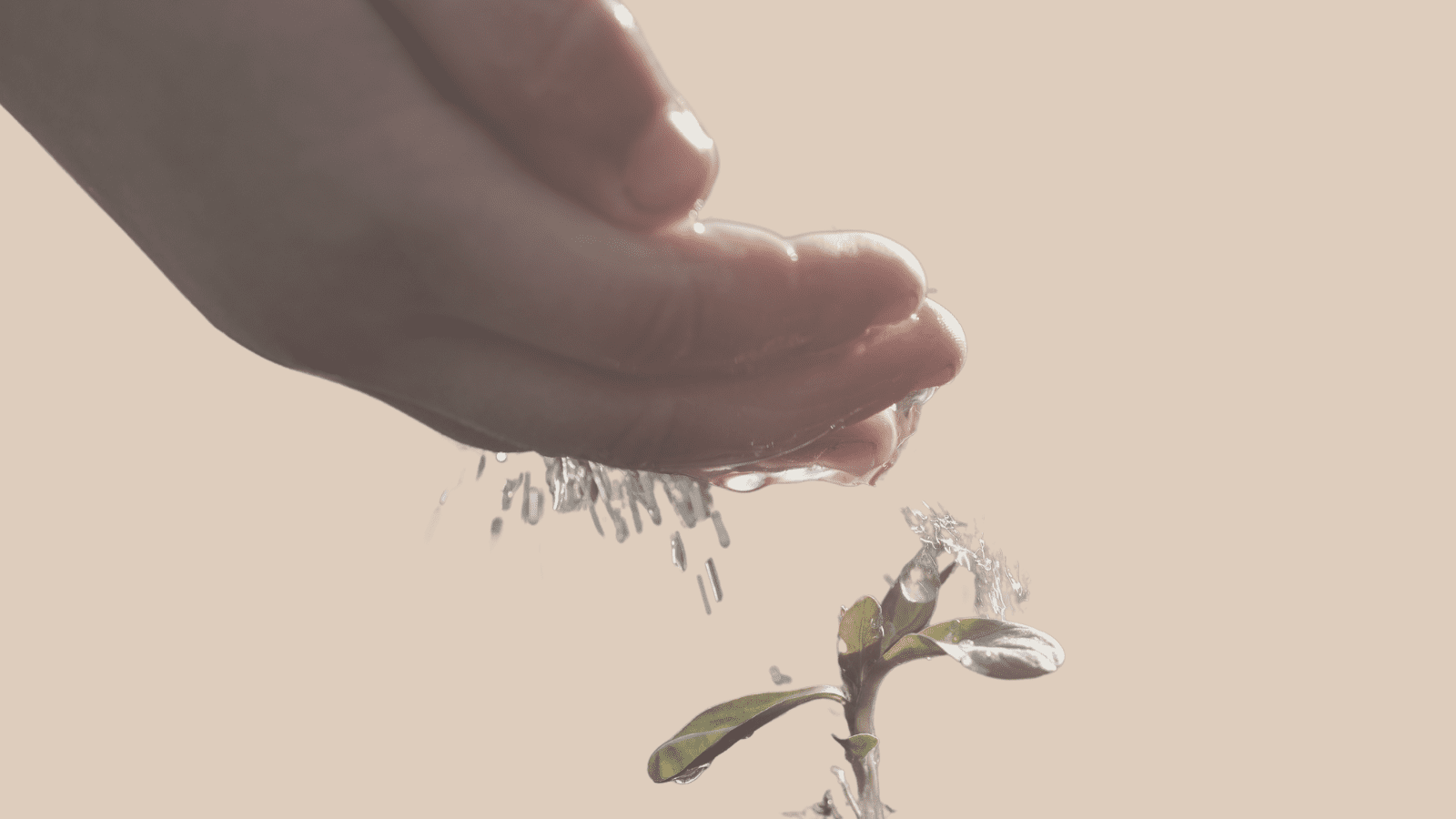 37 How Does Change Happen? [The Gentle Rebel Podcast]